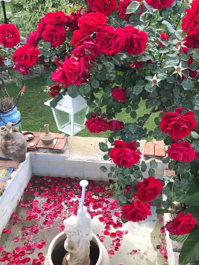 La Capanna Di Giuseppe E Maria Bed & Breakfast Taormina Italy